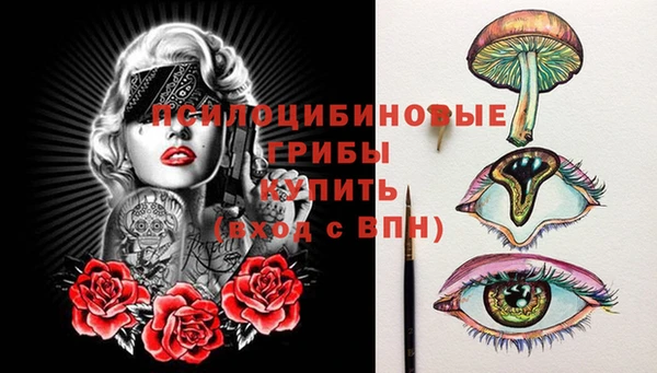 ГАЛЛЮЦИНОГЕННЫЕ ГРИБЫ Нея