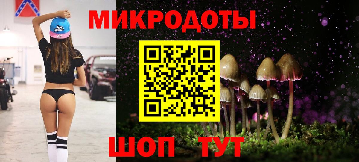 Галлюциногенные грибы Psilocybine cubensis Нижнекамск